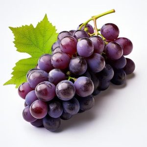 Close-up of juicy deep purple grapes freshly harvested with natural bloom