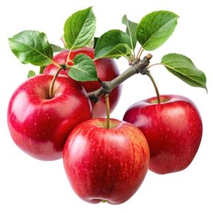 Freshly harvested deep red apples with a glossy natural finish